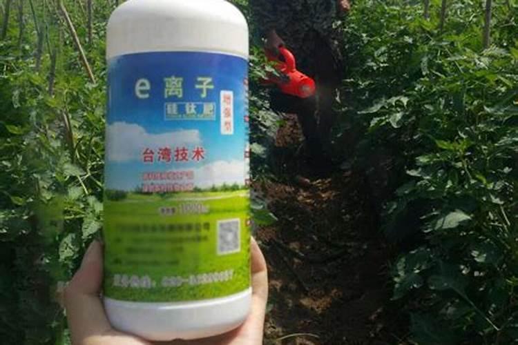 想让桃子壮果的话,最重要的东西是什么？
