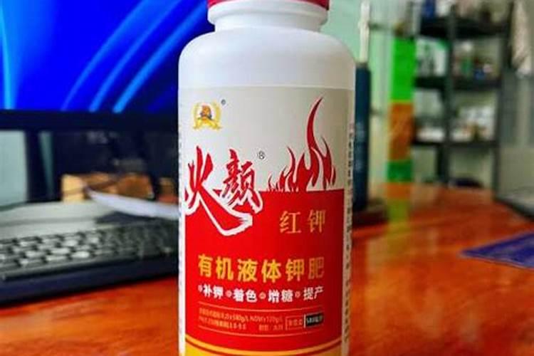 月季施肥过多症状 月季施肥注意事项