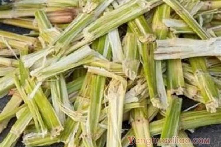 种甘蔗施什么肥
