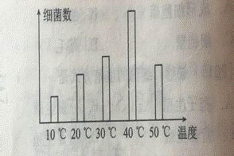 没想到这么多养花的好东西,全让我当垃圾扔了