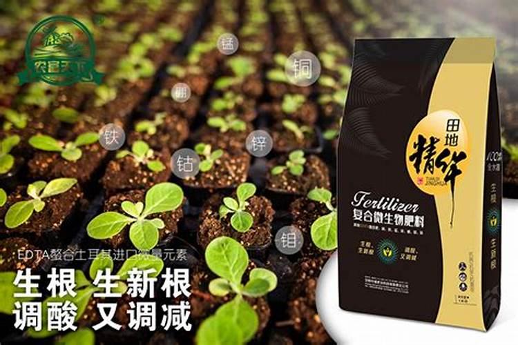 防己施什么肥