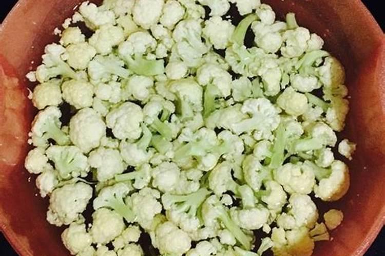 红栌树小苗怎么施肥最好
