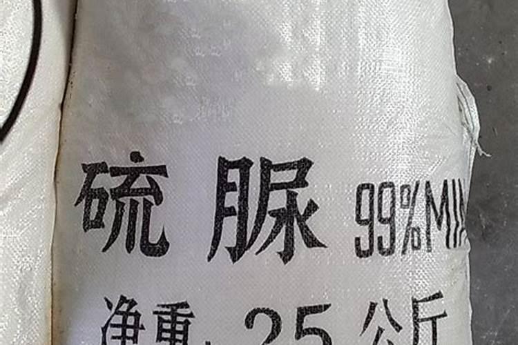 芹菜直接播种会不会发芽？