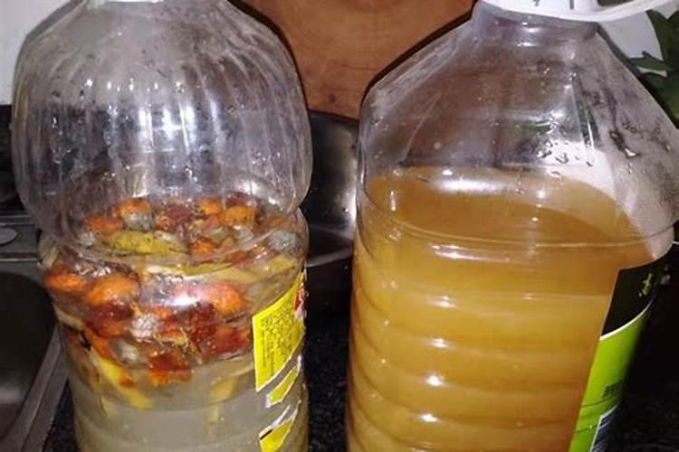 草莓什么时候施肥最好？