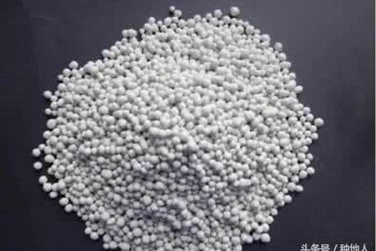 黄瓜苗和番茄苗因除草剂和治虫药而中毒怎样解