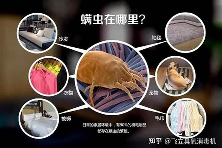 螨虫怕什么药物