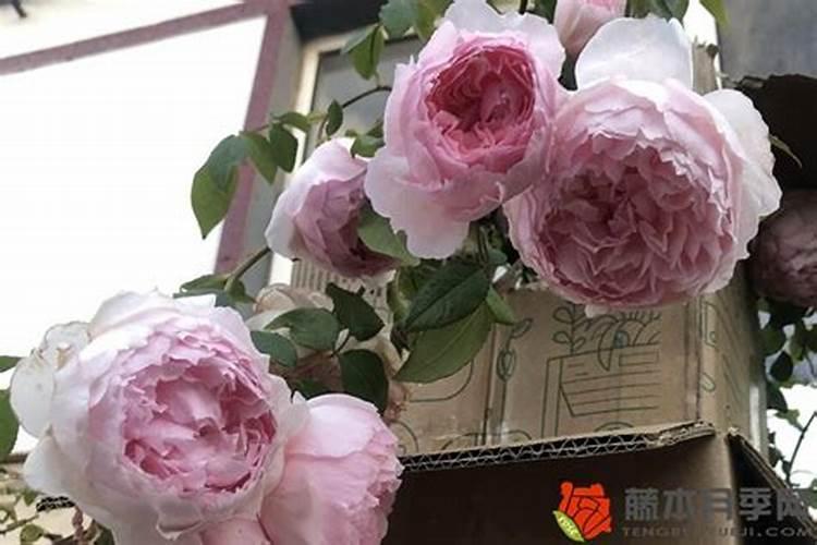 新公司如何起名 起什么名字风水好