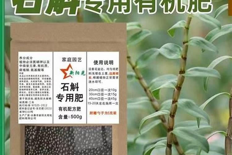 后斛开花后怎么养 后斛开花后如何养