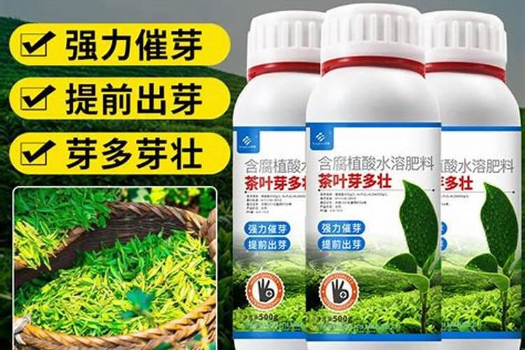水溶肥哪个品牌最好