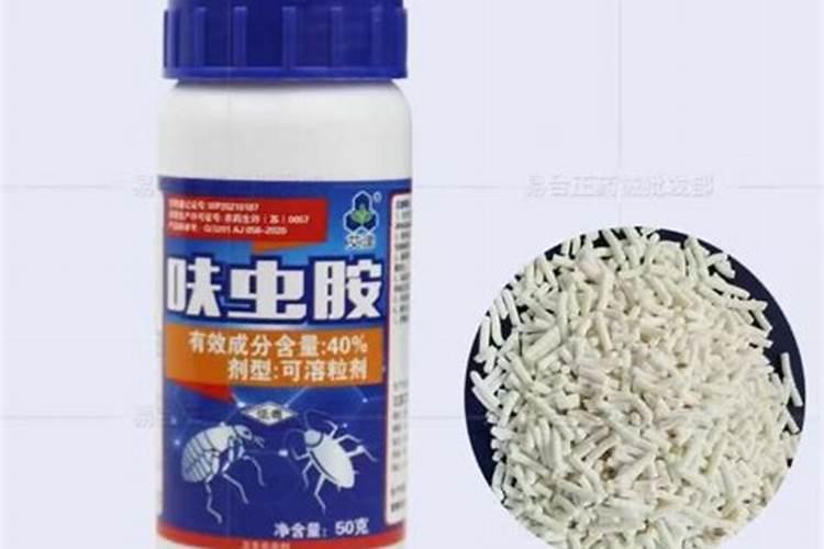 在养花时如何使用磷肥