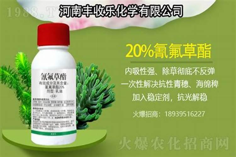 小麦套餐怎么配？