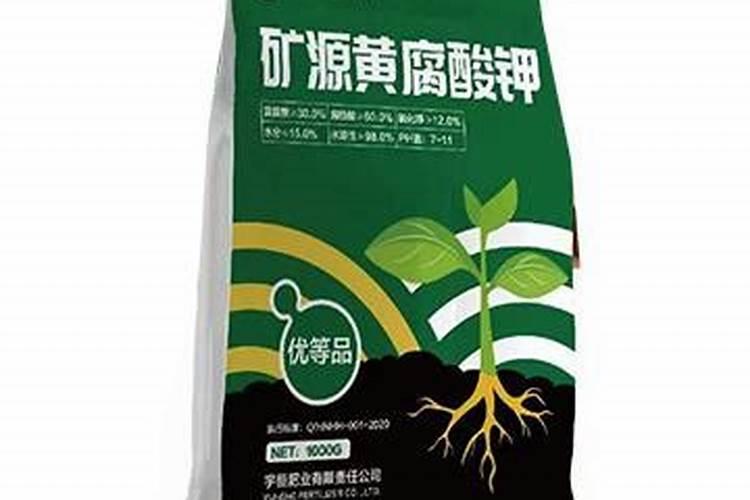 番茄肥害症状是什么
