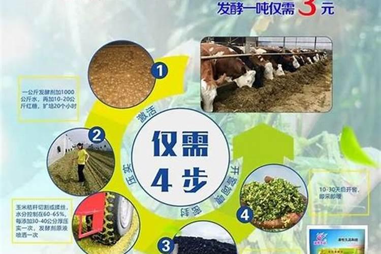 铵氮和氨氮有什么区别呢？