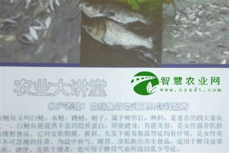 鱼蛋白水溶肥制作方法