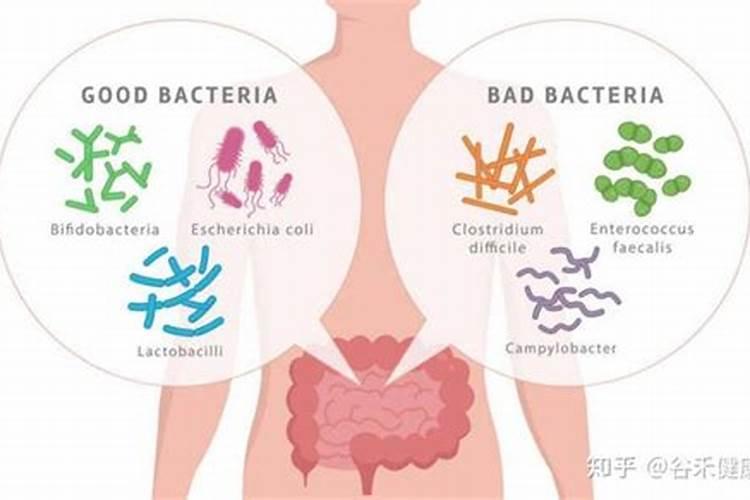 蒜薹是用人尿泡的吗