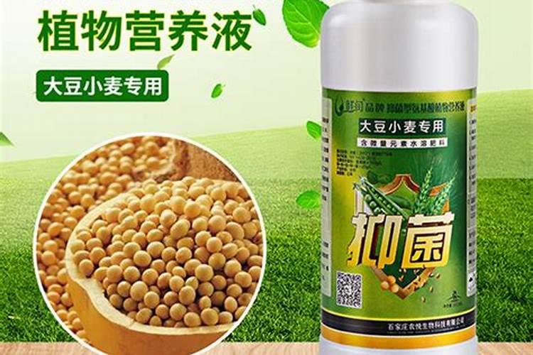 大豆开花期打什么叶面肥好 大豆用什么肥
