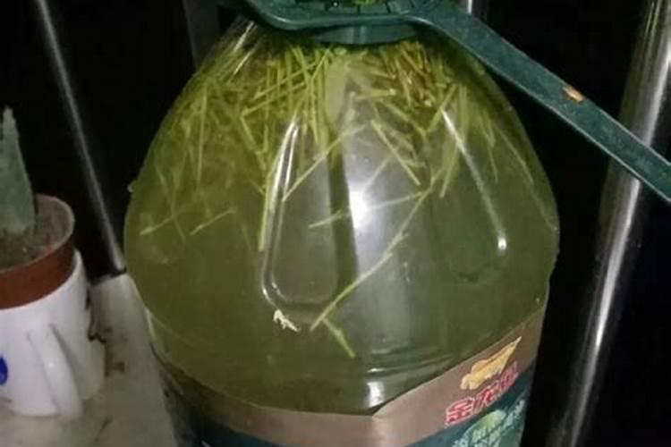 春季大蒜如何管理？大蒜管理技术要点!