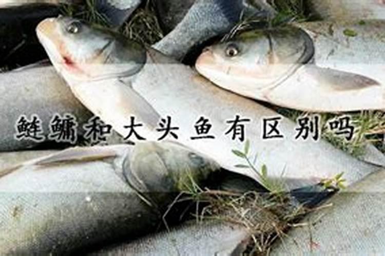 ...镁和铁分别与足量的10%的硫酸溶液为什么生成氢气一样多？？求详细的...