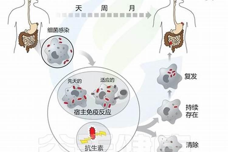 家庭怎样自制氮磷钾肥