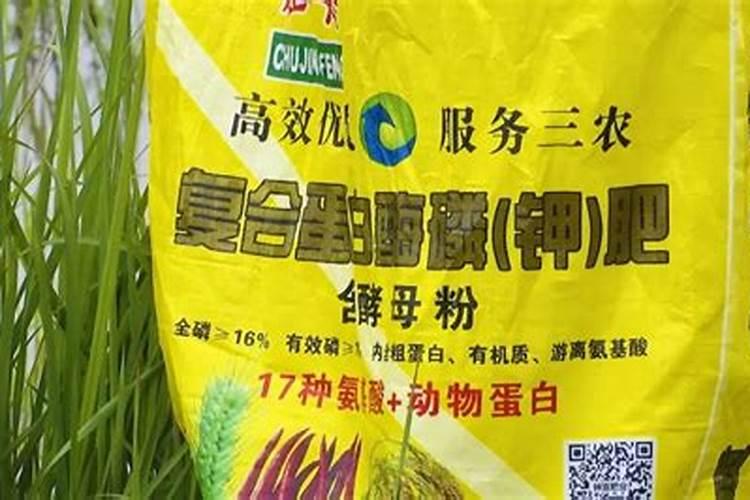 有7种肥料老是被买到假的,要如何防止掉进陷阱？