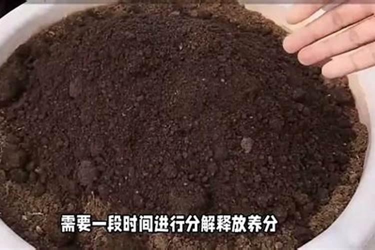 世界上十大名牌肥料排名