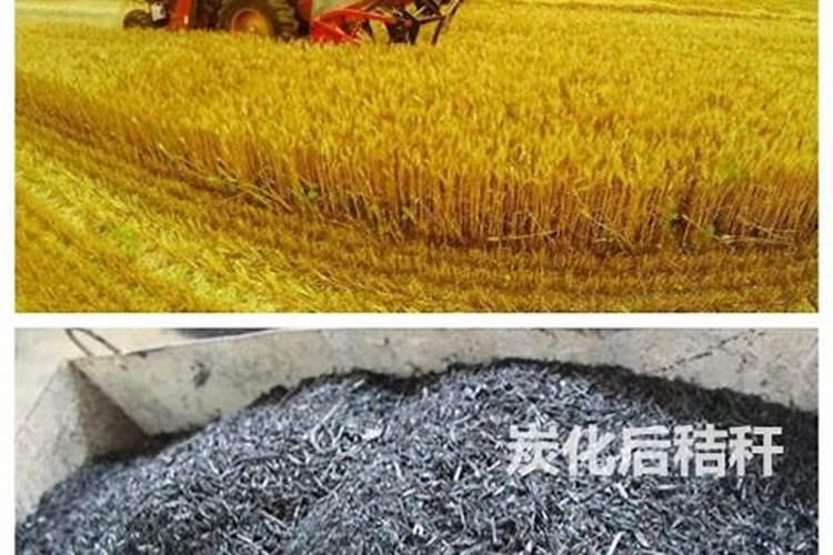 牛粪如何做成有机肥,有高手指点吗？