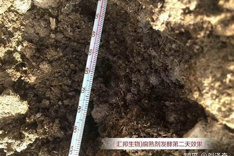 铵态氮是什么肥料