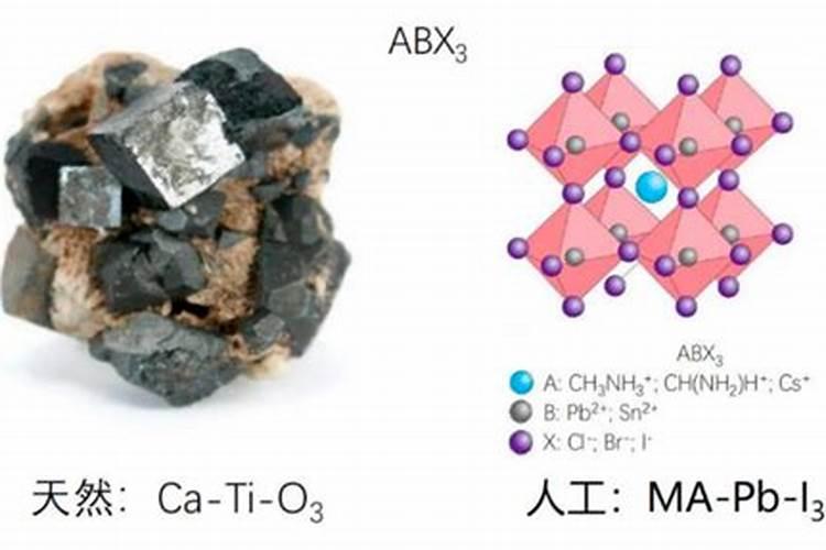 杏子成熟期专门用于果实着色膨果的肥料有吗？杏果着色增甜哪种肥料好