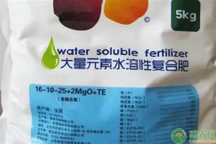 月季修剪后怎样施肥选择什么肥料好