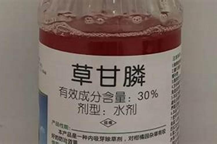 玉米田用除草剂间隔几天最好？