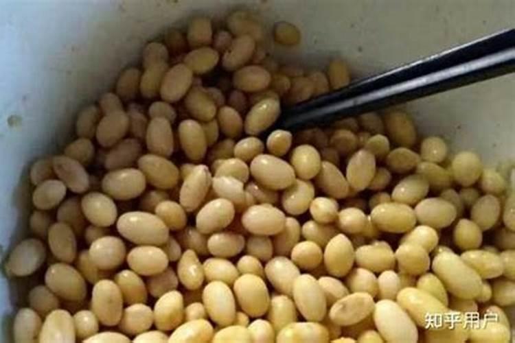 钾肥是什么肥料