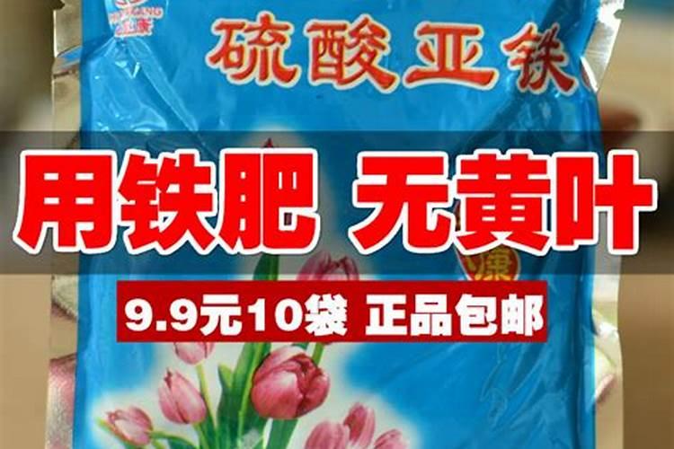 种花草用什么肥料最好