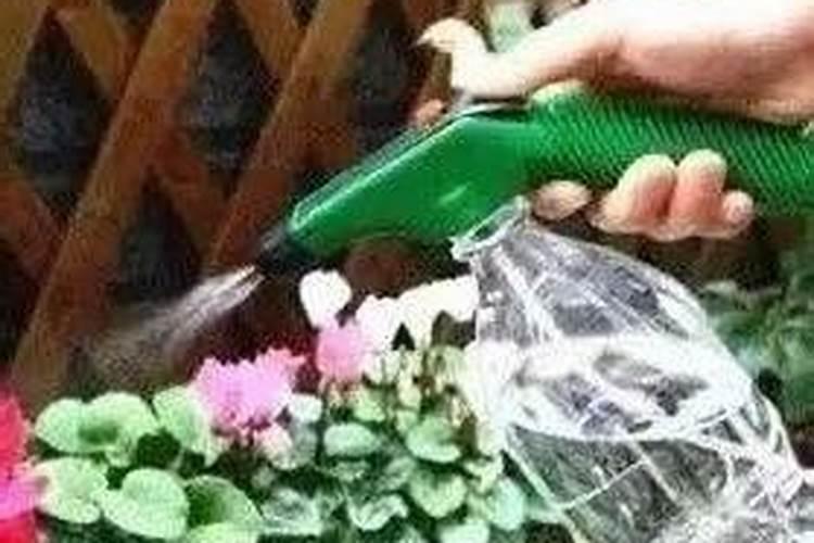 花草浇什么肥料合适