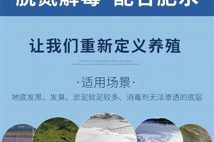 养殖污水氨氮高怎么办