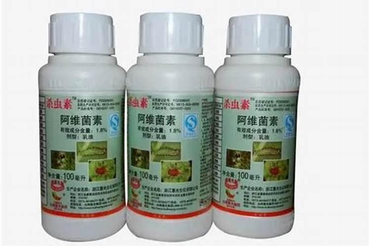 在海南种哈密瓜50亩一年收入多少？