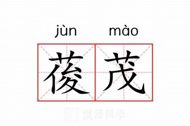 发财树浇什么肥料可枝叶旺盛