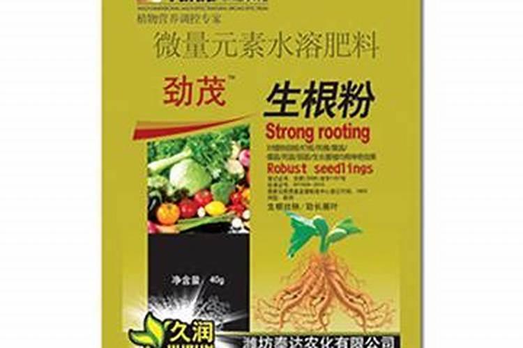 促进植物生根的方法是什么？
