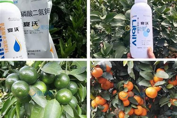 农作物防冻药有哪些
