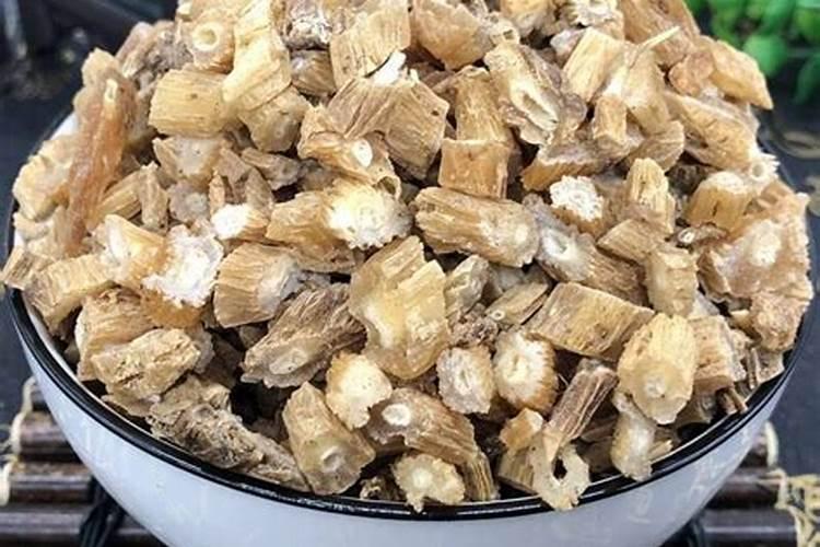 百部药材如何种植？