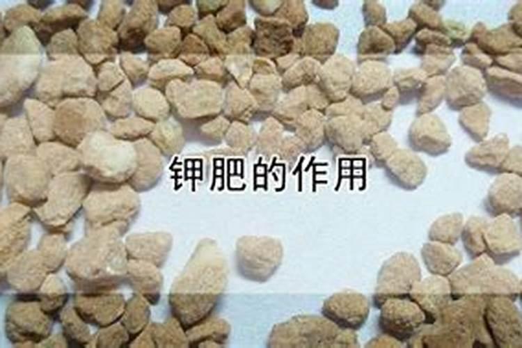 锌肥棉花七月底能滴灌吗？
