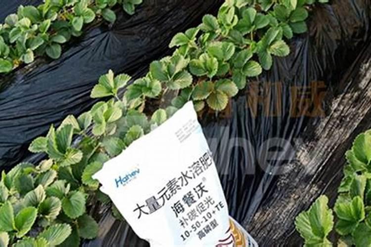 水溶肥的前十名水溶肥厂家有那些水溶肥的前十名