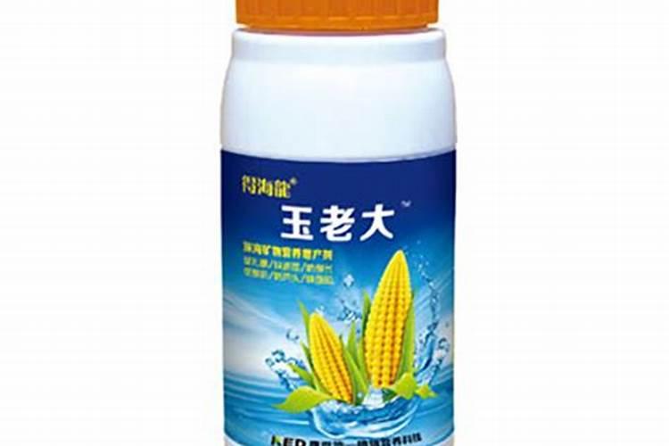 温室大棚适合种什么菜水果也可以
