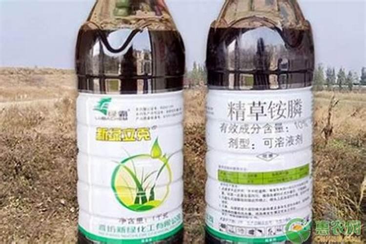 精草铵膦铵盐除草效果好吗