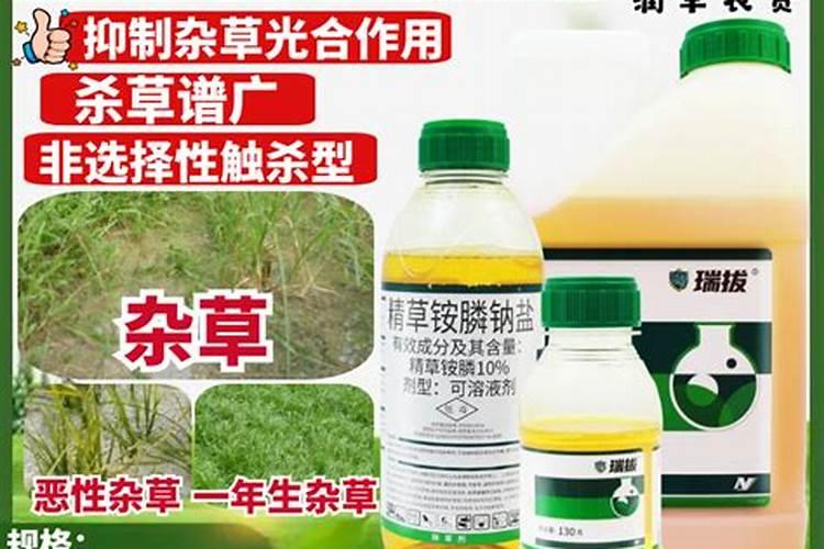 精草铵膦铵盐对作物有影响吗