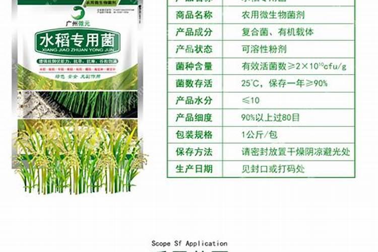 买肥料的时候要注意哪些问题？