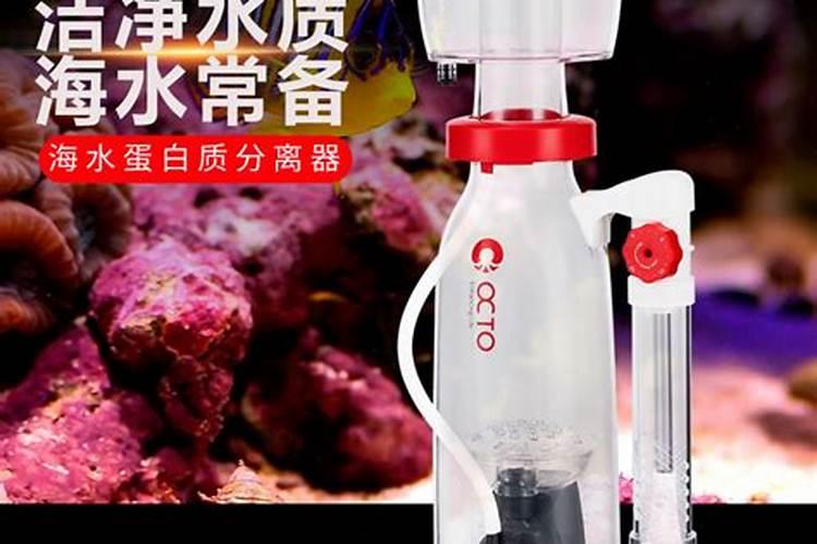 怎样把鱼蛋白从混合物里过滤出来
