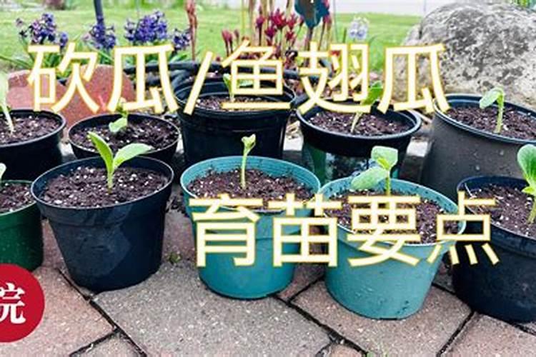 关于好词好句多一点的句子