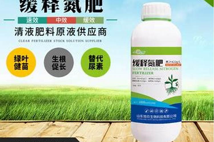 腐的芝麻饼渣沤制饼肥水,加多少水沤制？施肥的时候取其清液稀释多少倍...