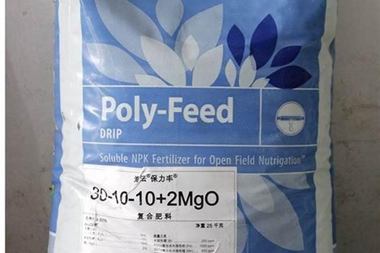 成年类桂花树第三次施肥施肥方法是什么？