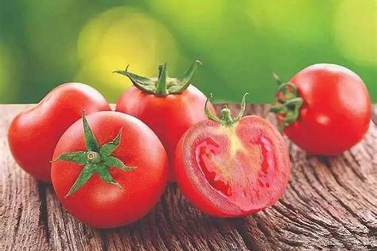 家里养的植物怎么施肥